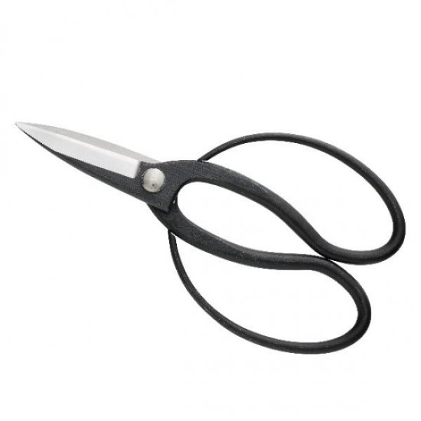 Photo1: No.2081  Professional long bladed garden shears aogami [226g/200mm] (1)