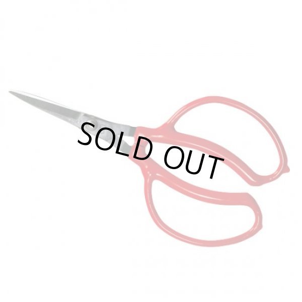 Photo1: No.2044  Grape picking scissors [62g/175mm] (1)
