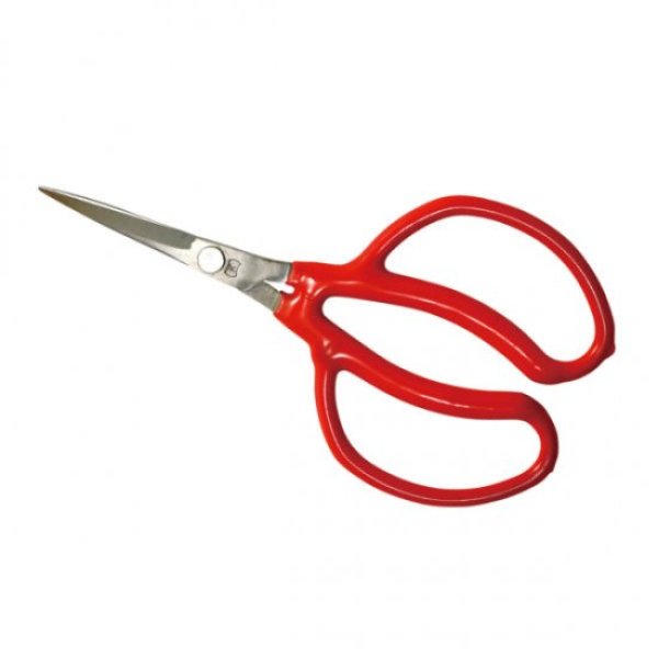 Photo1: No.2047  Stainless steel grape picking scissors bend type [65g/175mm] (1)