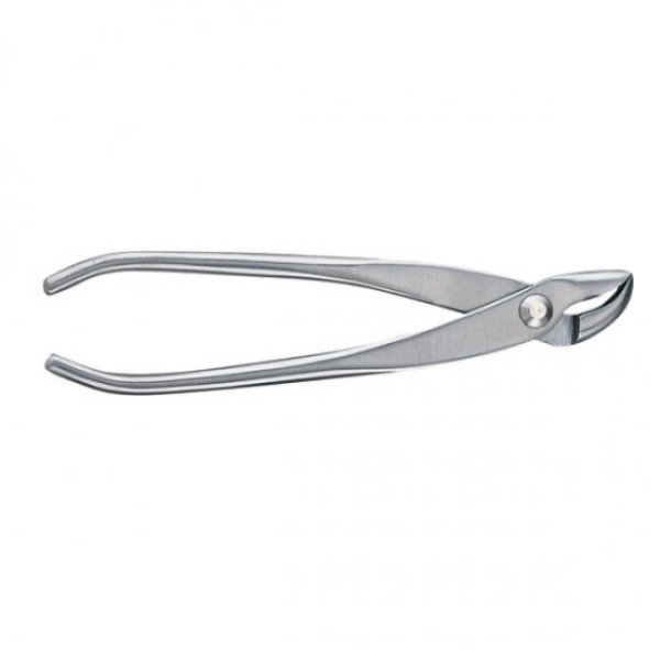 Photo1: No.3215  Stainless steel jin pliers S [125g/180mm] (1)