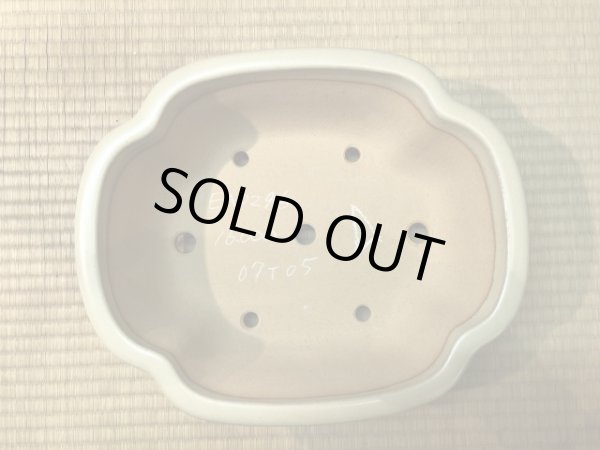 Photo3: No.EA0296  Reiho (3)