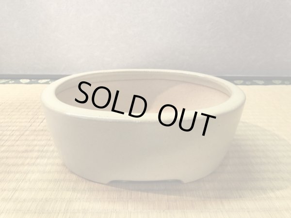 Photo2: No.EA0280  Reiho (2)