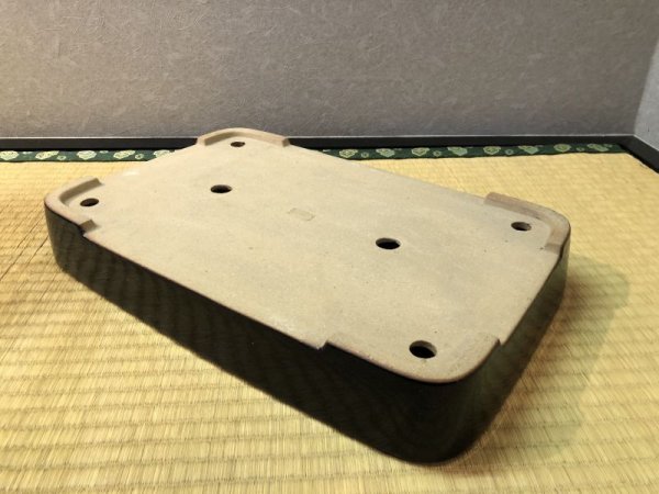 Photo4: No.EA0034  Reiho (4)