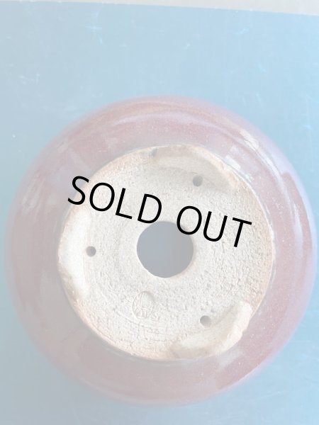 Photo4: No.MI0202  Premium Bonsai pot (4)