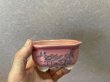 Photo4: No.Maru512  Bunzan shohin bonsai pot set, 4pcs (4)