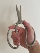 Photo4: No.8502  Gardening Shears* [200g/215mm] (4)