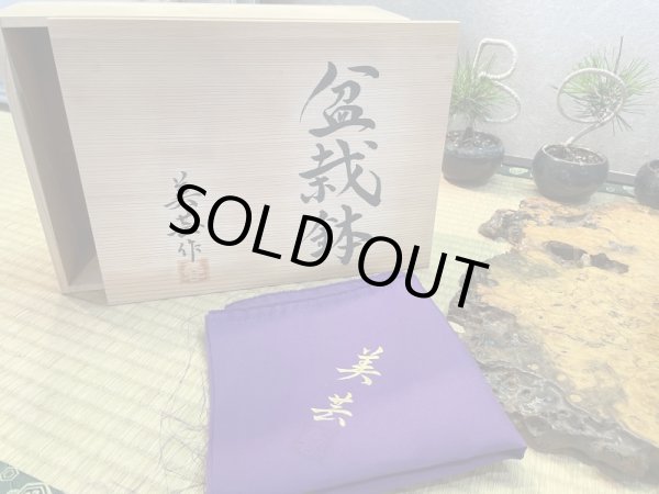 Photo6: No.HR3557  Bigei Special Pot with wooden box (6)