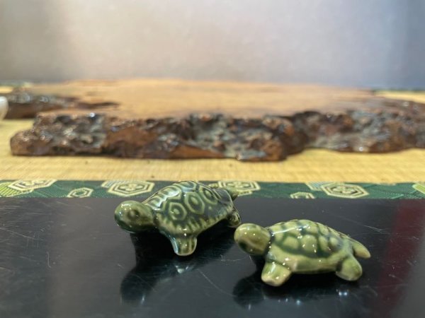 Photo1: No.MSGR4015-4016  Tortoise (1)