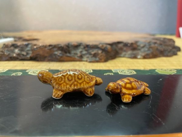 Photo1: No.MSBR4017-1048  Tortoise (1)