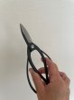 Photo5: No.0101  Trimming Shears specially made [150g/180mm] (5)