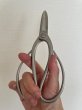 Photo5: No.8001  Trim, Shears [150g/180mm] (5)