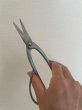 Photo4: No.SS-2  Trimming Shears long handle* [110g/190mm] (4)