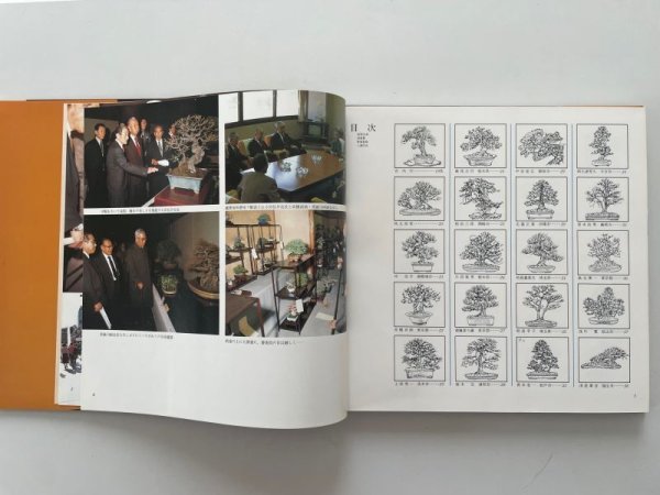 Photo3: No.KF55  Kokufu album 1981 (total 231 pages) (3)