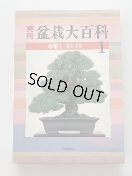 Photo1: No.Bonsai encyclopedia  Conifer (Pinus thunbergii, Pinus densiflora) (1)