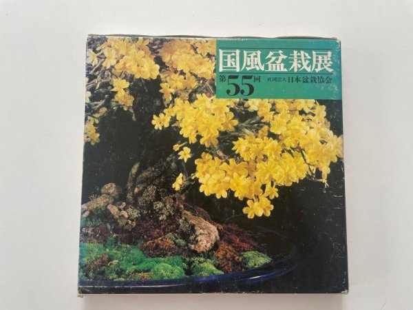 Photo1: No.KF55  Kokufu album 1981 (total 231 pages) (1)