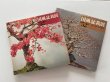 Photo2: No.KF52  Kokufu album 1978 (total 228 pages) (2)