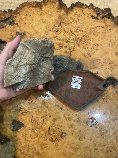 Photo5: No.HR3901  (Origin unknown) (5)