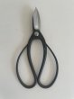 Photo3: No.0051  Trimming Shears-P [150g/180mm] (3)