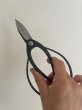 Photo5: No.0051  Trimming Shears-P [150g/180mm] (5)