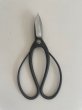 Photo4: No.0051  Trimming Shears-P [150g/180mm] (4)