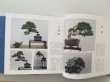 Photo5: No.Premium History  Special premium book history of Kokufu Bonsai Exhibition 50years (5)