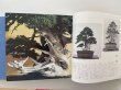 Photo4: No.Premium History  Special premium book history of Kokufu Bonsai Exhibition 50years (4)