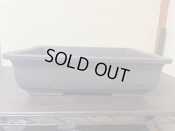 Photo3: No.IA3112  Tokoname (3)