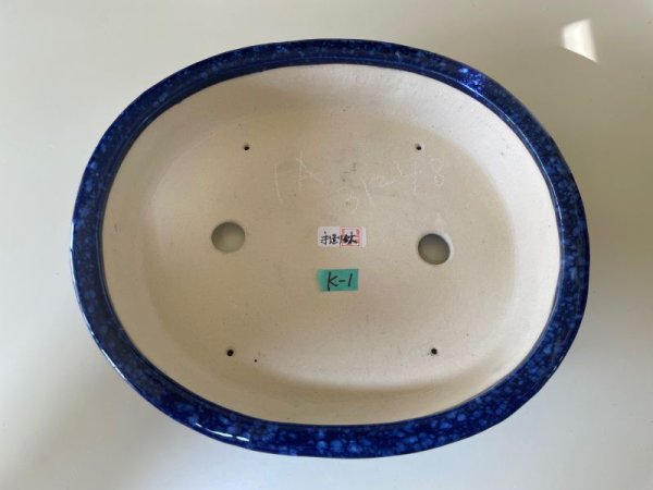 Photo2: No.IA31247 Koyo (2)