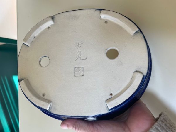 Photo3: No.IA31247 Koyo (3)