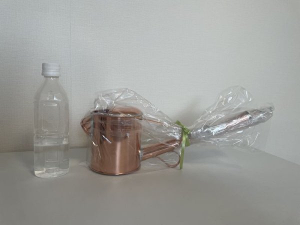 Photo1: No.NE0001  Watering Can mini, made of Copper * (No.1001) (1)