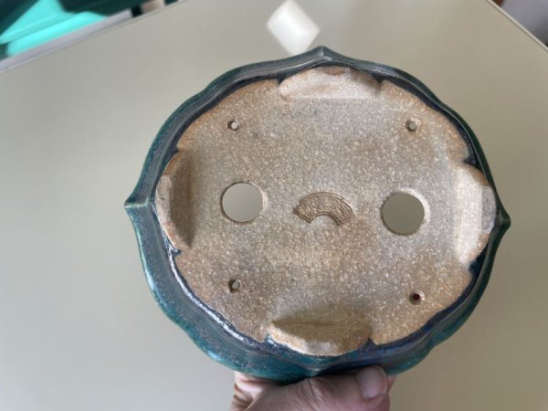 Photo3: No.IA31248 Koyo (3)