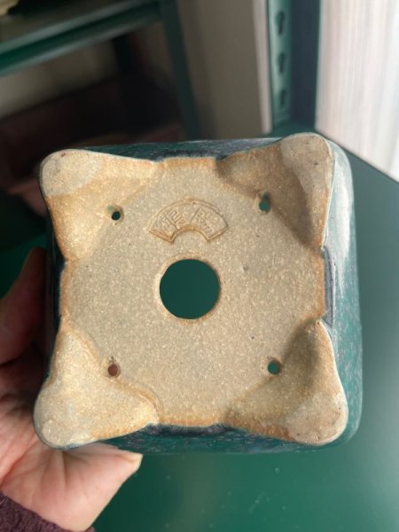 Photo3: No.IA31239 Koyo (3)