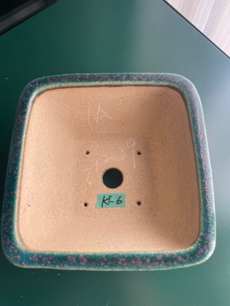 Photo2: No.IA31239 Koyo (2)