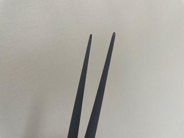 Photo4: No.0311  Bonsai Tweezers Long size [80g/275mm] (4)