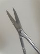 Photo6: No.8103  Bud Shears, new type [90g/160mm] (6)