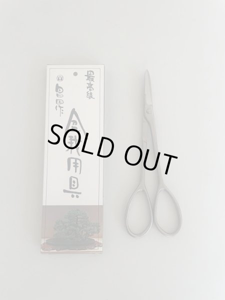 Photo2: No.8103  Bud Shears, new type [90g/160mm] (2)