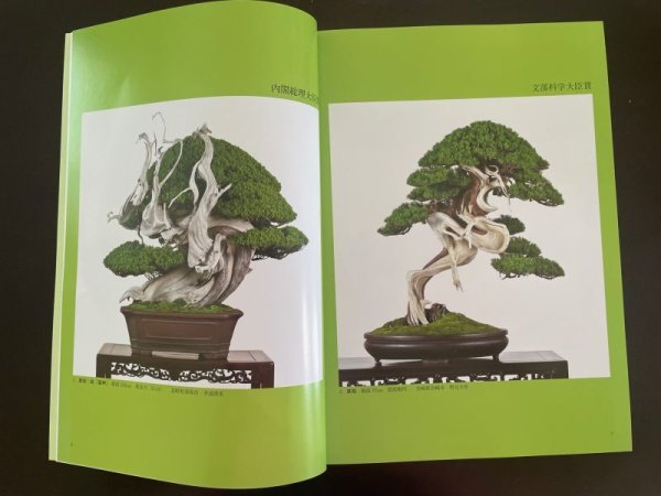 Photo2: No.SF album 49  Sakufu ten No.49 (2023) (2)