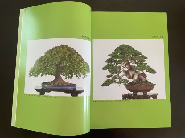 Photo3: No.SF album 49  Sakufu ten No.49 (2023) (3)