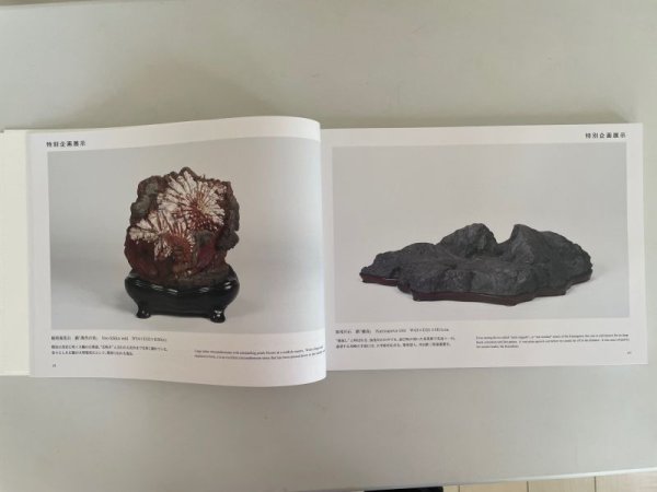 Photo4: No.Suiseki 2024  Exhibition of Japanese Suiseki masterpieces (4)