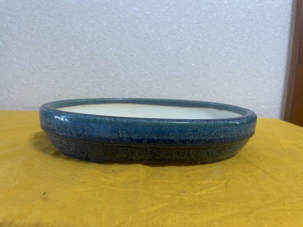 Photo1: No.SA5906 Koyo (1)