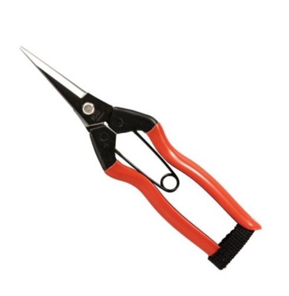 Photo1: No.1111  Bud cutting scissors (1)