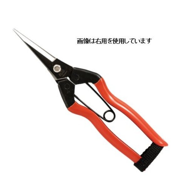 Photo1: No.1112  Bud cutting scissors (1)