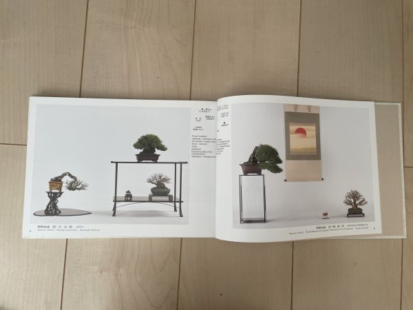 Photo2: No.GF album 49   Gafu ten book No.49 (2024) (2)