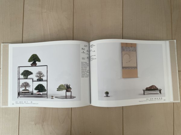 Photo3: No.GF album 48   Gafu ten book No.48 (2023) (3)