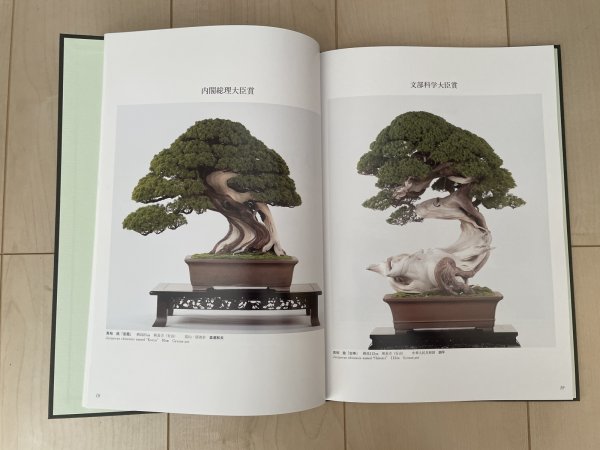 Photo2: No.TA album 45 (2)