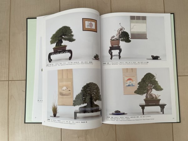 Photo3: No.TA album 45 (3)