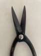 Photo5: No.0352  Custom made Trimming shears long handle (Made to order)* [120g/190mm] (5)