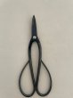 Photo2: No.0352  Custom made Trimming shears long handle (Made to order)* [120g/190mm] (2)