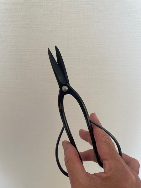 Photo4: No.0352  Custom made Trimming shears long handle (Made to order)* [120g/190mm] (4)