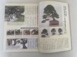 Photo2: No.Kinbon Sea  Kinbon subscription by sea Annual subscription ( 12 copies ) Postage by sea (2)